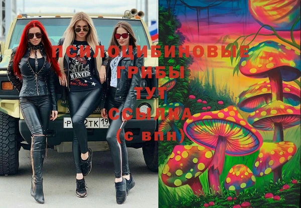 ECSTASY Белокуриха